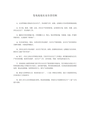 发电处处长安全责任制.docx