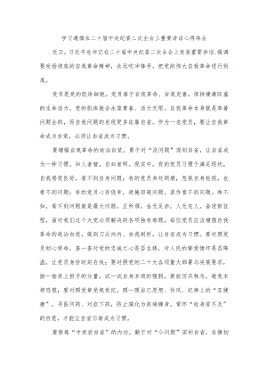 学习遵循在二十届中央纪委二次全会上重要讲话心得体会.docx