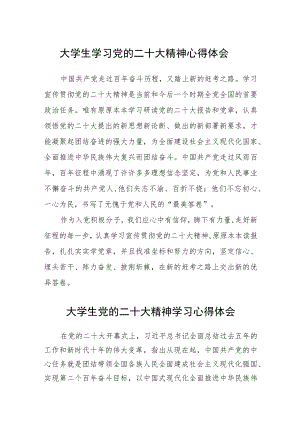 大学生学习党的二十大精神心得体会样文三篇合集.docx