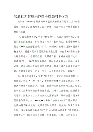发展壮大村级集体经济经验材料2篇.docx