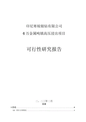 寒锐钴业：印尼寒锐镍钴有限公司6万金属吨镍高压浸出项目可行性研究报告.docx