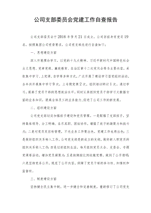 大中型公司支部委员会党建工作自查报告.docx