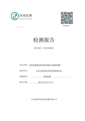 宁津东部产业区废水监测报告.docx