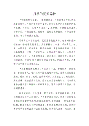 月季的夏天养护.docx
