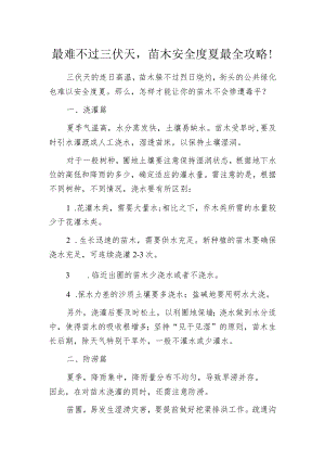 最难不过三伏天苗木安全度夏最全攻略!.docx