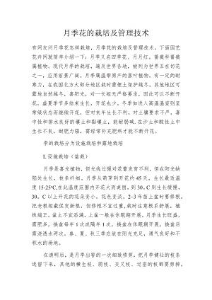 月季花的栽培及管理技术.docx
