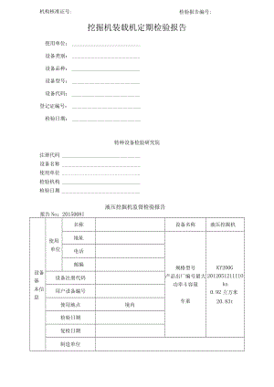 挖掘机装载机定期检验报告.docx