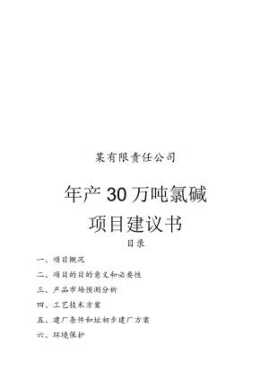 年产30万吨氯碱化工项目建议书.docx