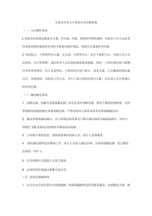 实验室常见安全事故应急处置措施.docx