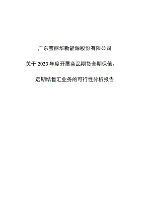 宝新能源：关于2023年度开展商品期货套期保值、远期结售汇业务的可行性分析报告.docx