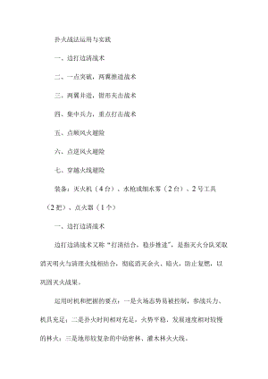 扑火战法运用与实践.docx