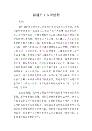 新进员工入职感想.docx