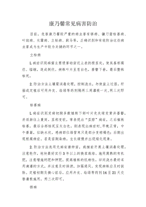 康乃馨常见病害防治.docx