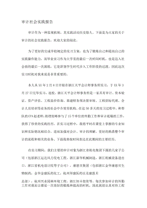 审计社会实践报告.docx