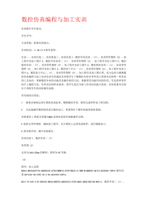 数控仿真编程与加工实训.docx