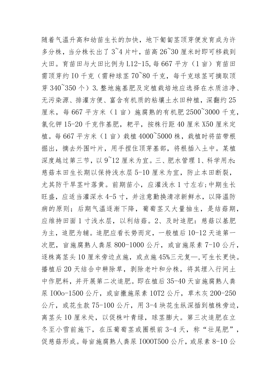 慈菇的栽培技术.docx_第2页