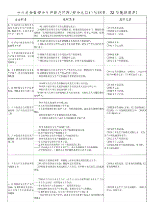 安全生产副总经理 安全总监履职能力评价清单.docx