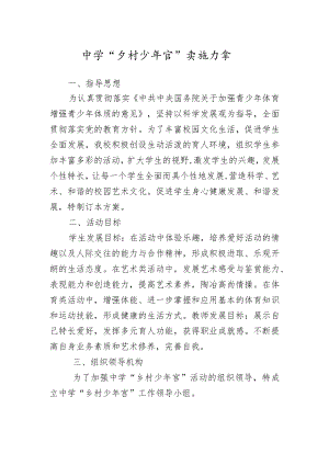 少年宫实施方案.docx