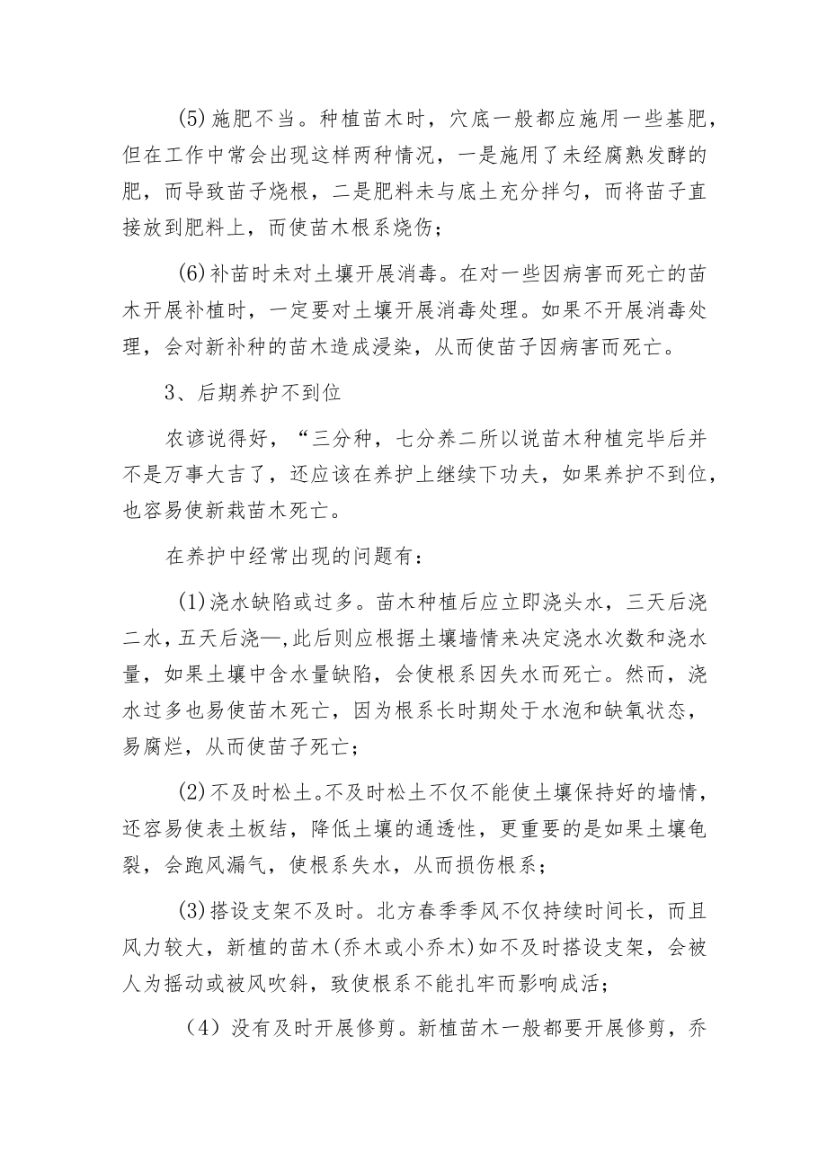 新种植的苗木为什么没活?.docx_第3页
