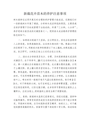 新栽花卉苗木的养护注意事项.docx