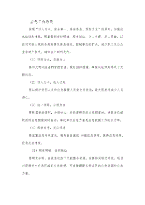 应急工作原则.docx