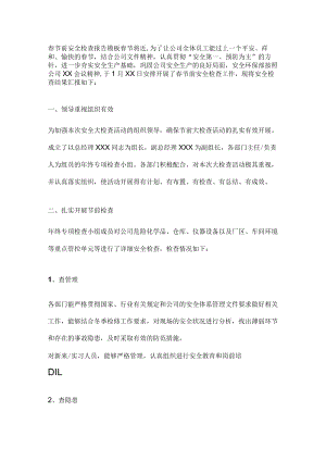 春节前安全检查报告模板.docx