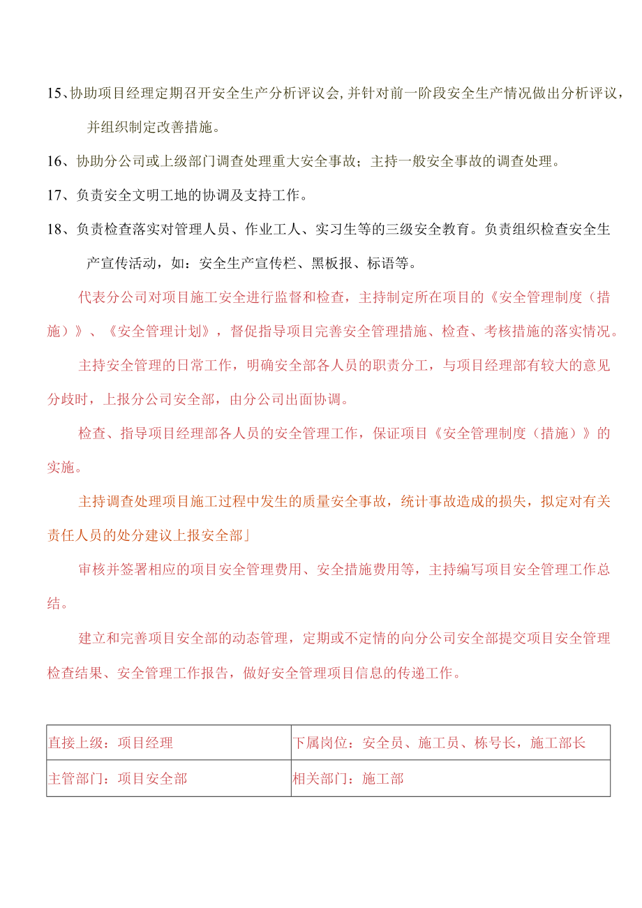 安全总监岗位职务说明书g.docx_第2页