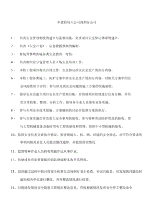 安全总监岗位职务说明书g.docx