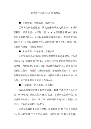 新能源产业园大江东新城概况.docx