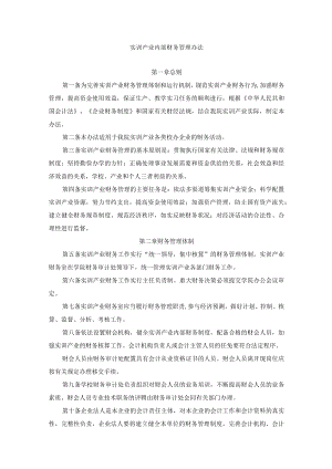 实训产业内部财务管理办法.docx