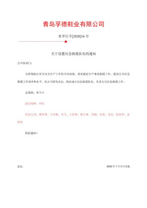 救援队伍设置任命文件.docx