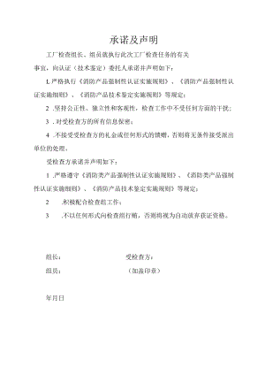 承诺及声明（标准样本）.docx