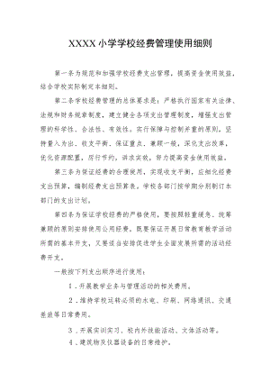 小学学校经费管理使用细则.docx