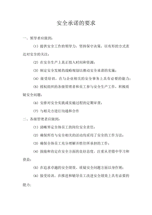 安全承诺的要求.docx
