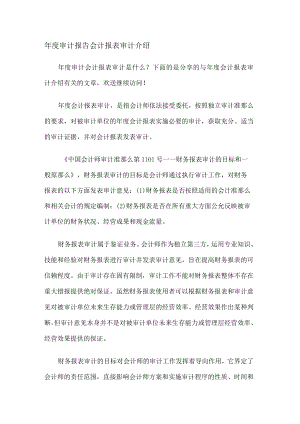 年度审计报告会计报表审计介绍.docx