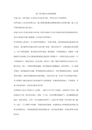 施工项目溺水应急救援措施.docx