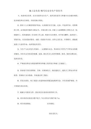施工总负责 栋号长安全生产责任书.docx