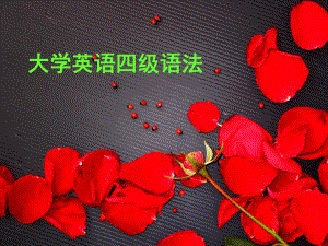 大学英语四级语法.ppt
