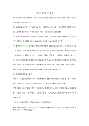 施工项目安全生产体系.docx
