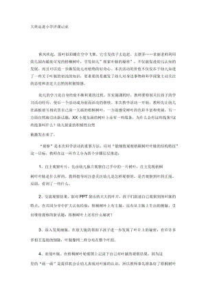 大班走进小学评课记录.docx