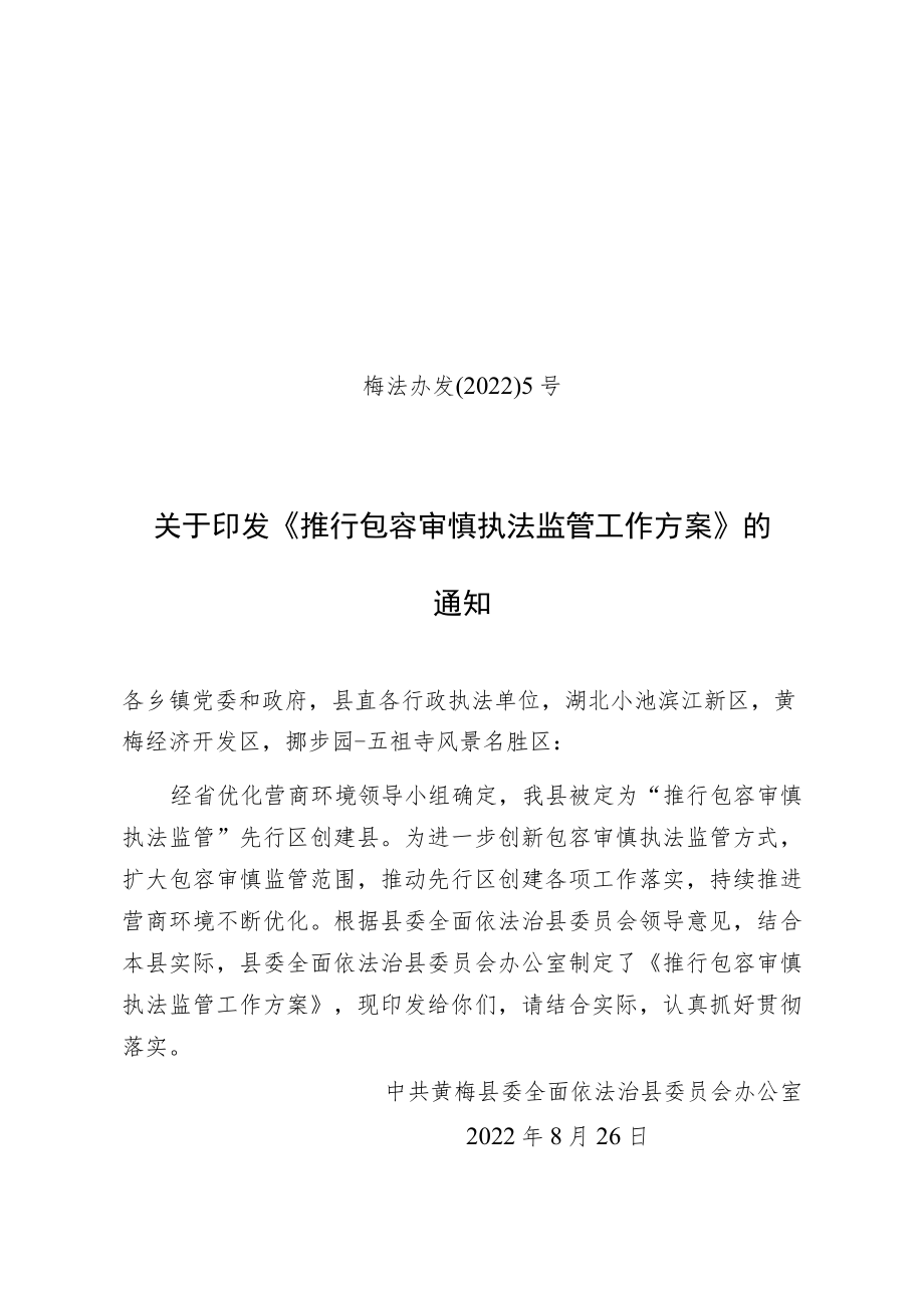 推行包容审慎执法监管工作方案(正式发文版).docx_第1页