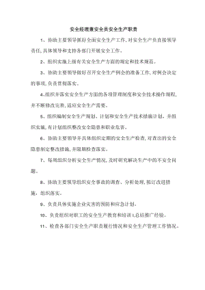 安全经理兼安全员安全生产职责.docx