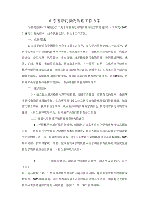 山东省新污染物治理工作方案.docx