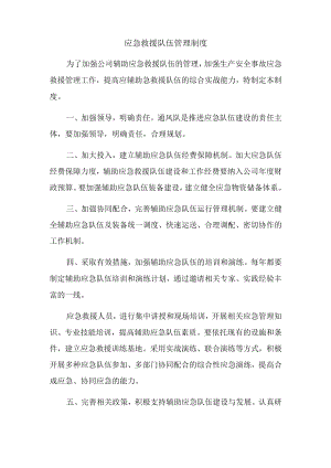 应急救援队伍管理制度.docx
