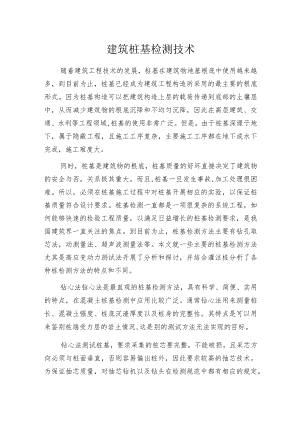 建筑桩基检测技术.docx