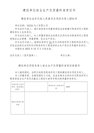 建设单位安全生产及质量终身责任书.docx