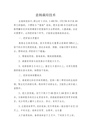 意杨栽培技术.docx