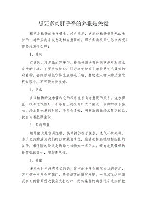 想要多肉胖乎乎的养根是关键.docx