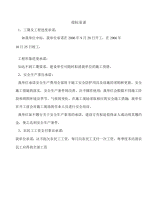 投 标 承 诺.docx