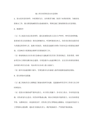 施工项目雨季防雷击应急预案.docx